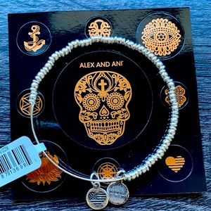 Alex and Ani: Silver Rocker